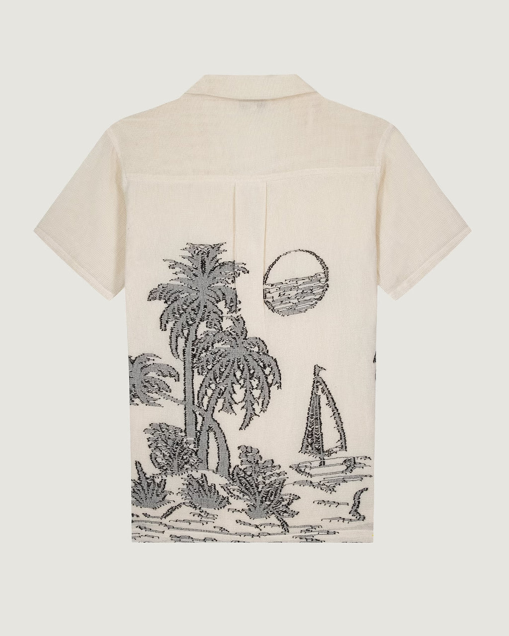 Morney Shirt Evasion